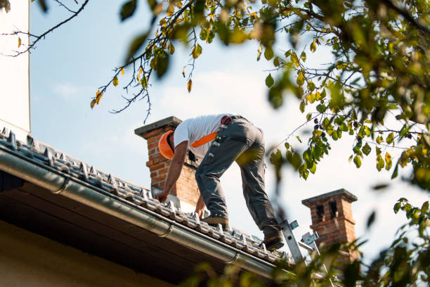 Roof Gutter Cleaning in Sandy, OR